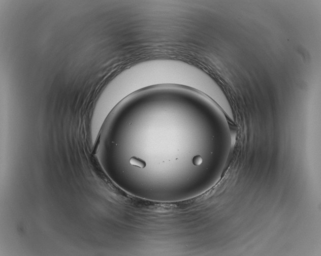 X0000113370128200909291059