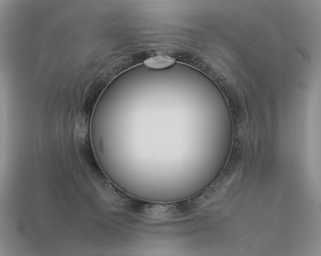 X0000113370129200909291059