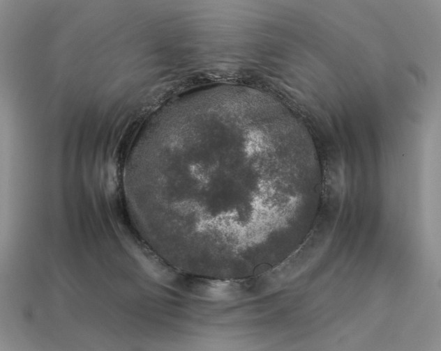 X0000113370130200909291059