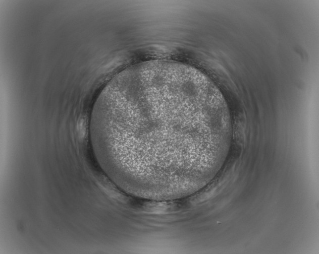 X0000113370131200909291059