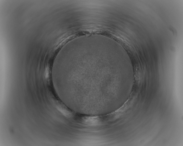 X0000113370132200909291059