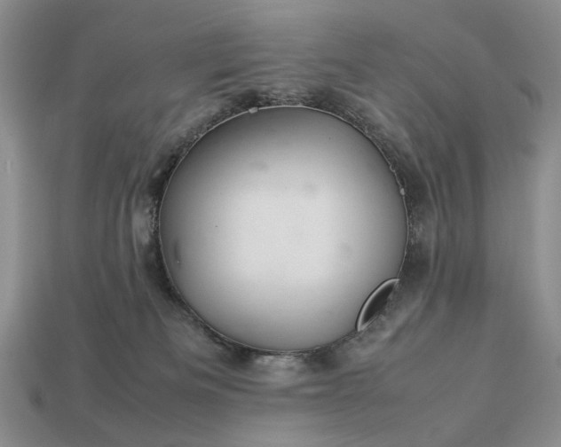 X0000113370133200909291059