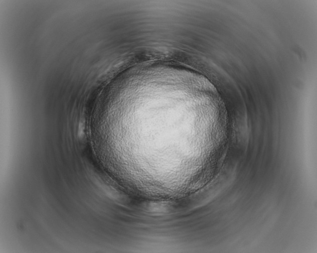 X0000113370134200909291059