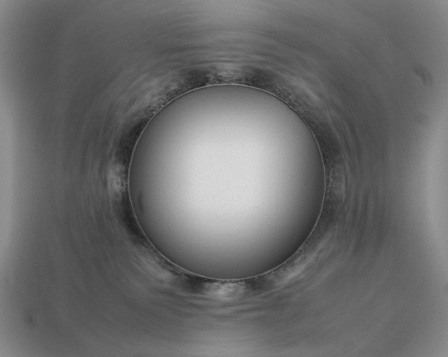 X0000113370135200909291059