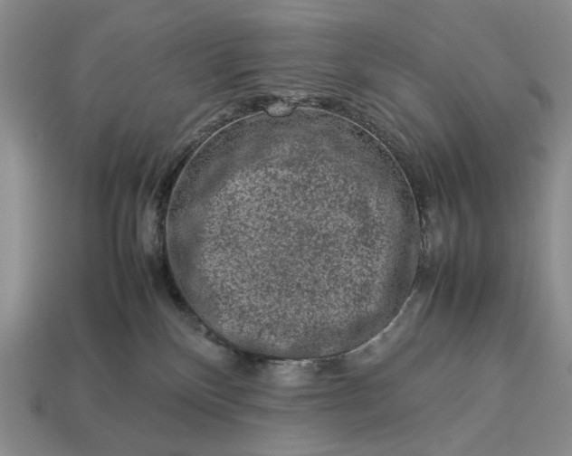 X0000113370136200909291059