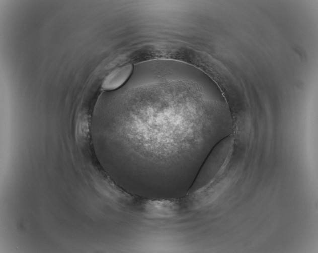 X0000113370137200909291059