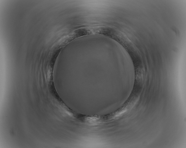 X0000113370139200909291059