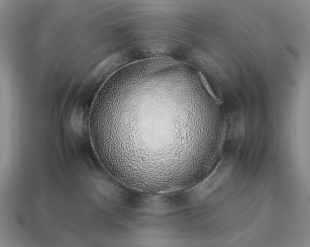 X0000113370140200909291059