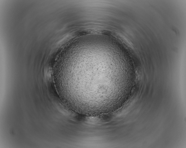 X0000113370141200909291059