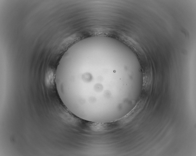 X0000113370142200909291059