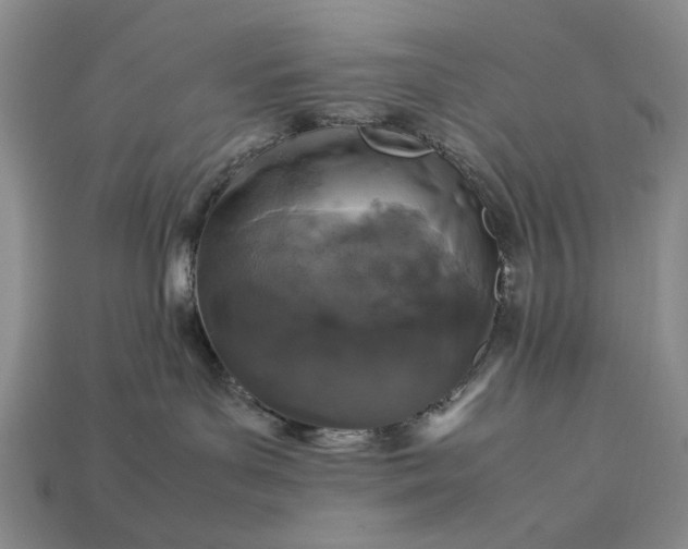 X0000113370143200909291059