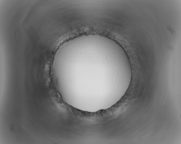 X0000113370144200909291059