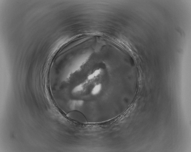 X0000113370145200909291058