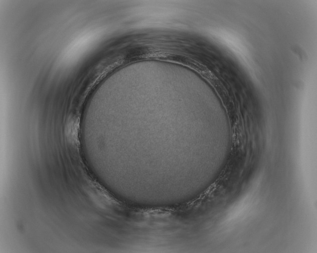 X0000113370146200909291058