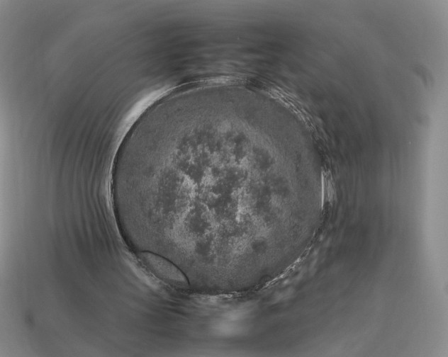 X0000113370147200909291058