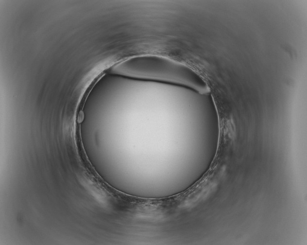 X0000113370148200909291058