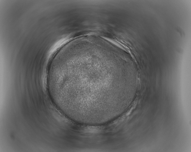 X0000113370149200909291058