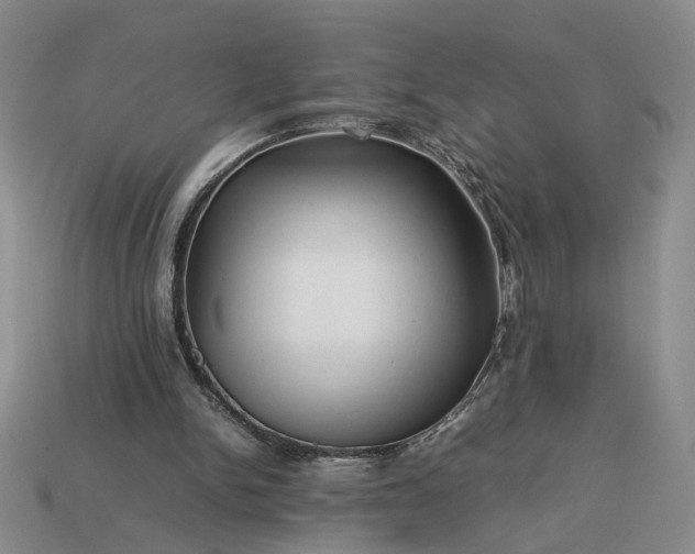 X0000113370150200909291058