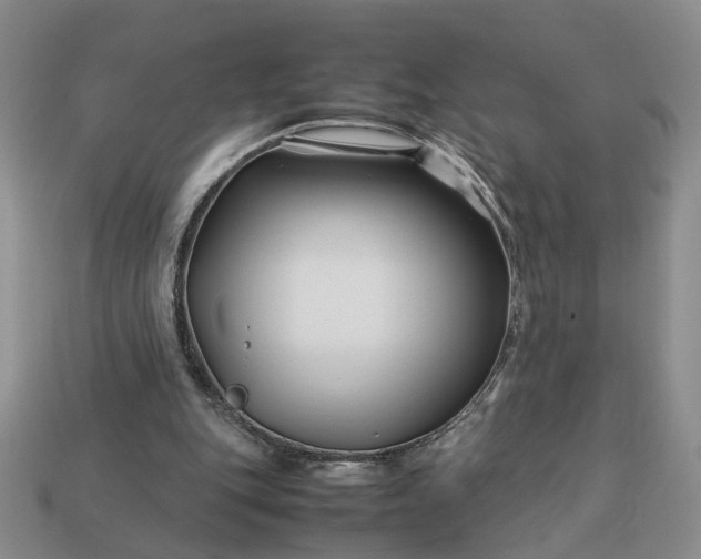 X0000113370151200909291058