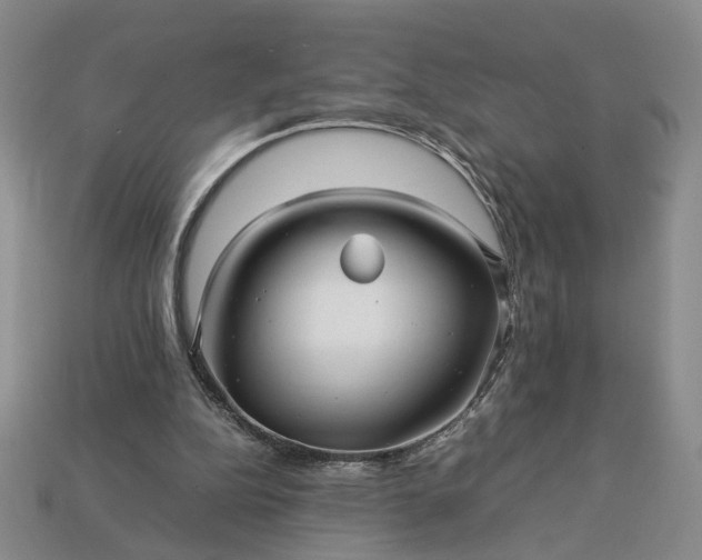 X0000113370152200909291058