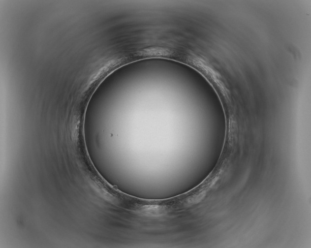 X0000113370153200909291058