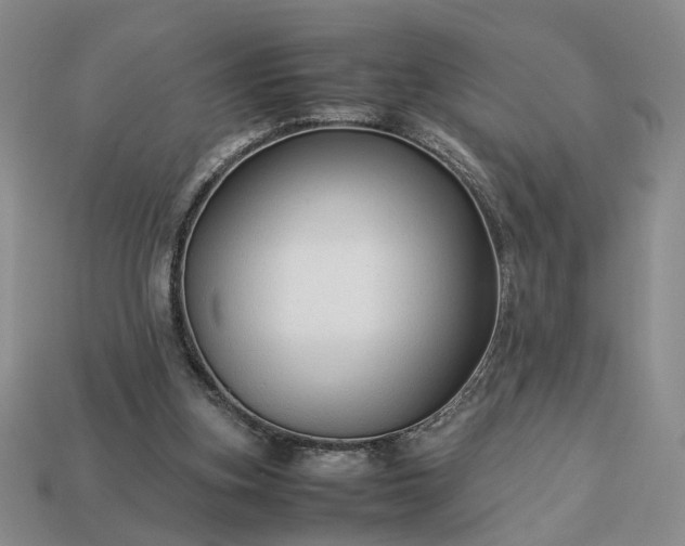 X0000113370155200909291058