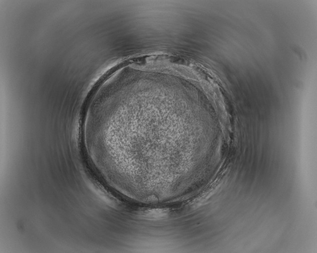 X0000113370156200909291058