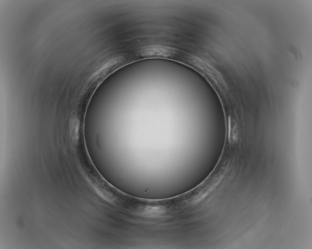 X0000113370157200909291058