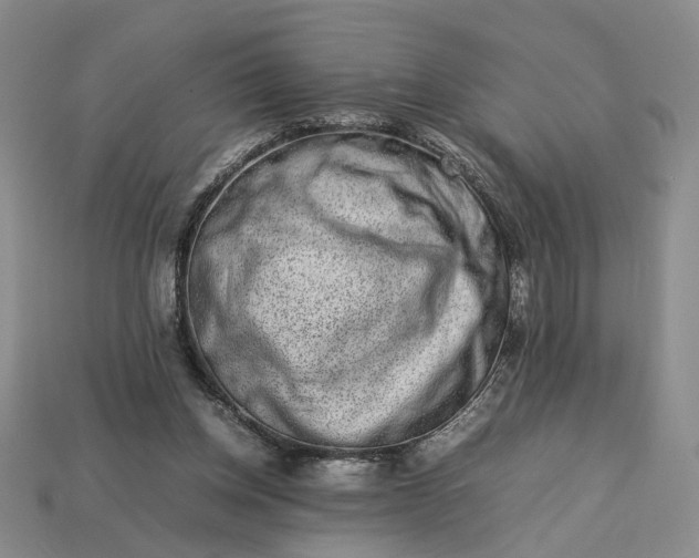 X0000113370158200909291058