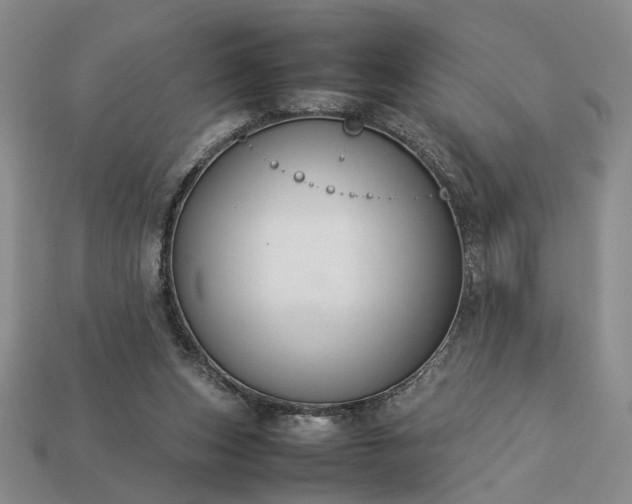 X0000113370159200909291058