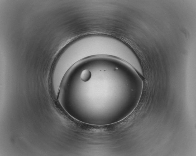 X0000113370160200909291058