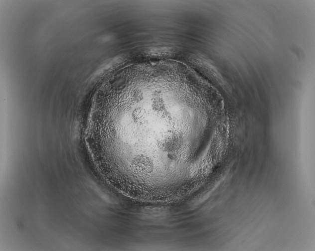 X0000113370161200909291058