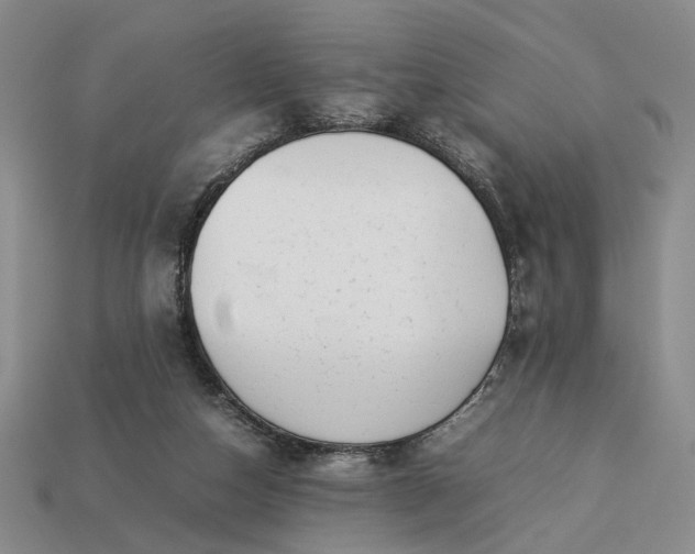 X0000113370162200909291058