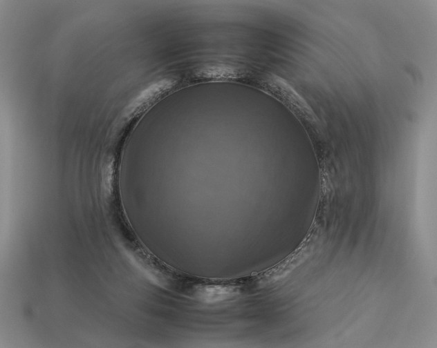 X0000113370163200909291058