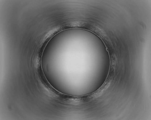 X0000113370164200909291058