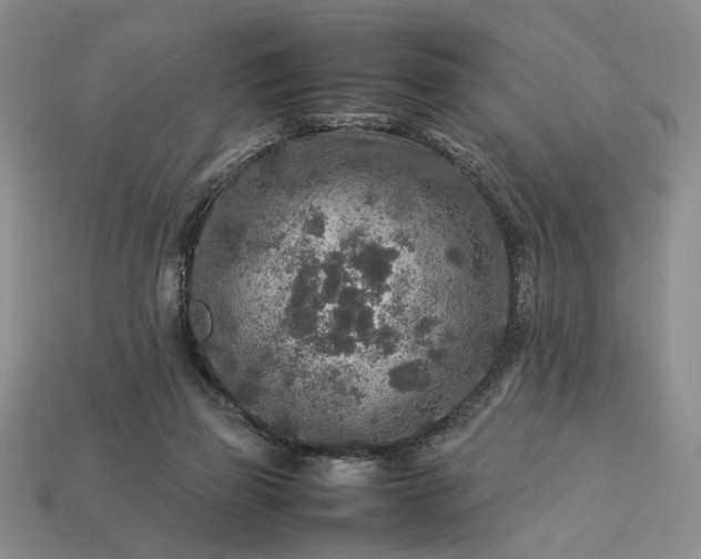 X0000113370165200909291058