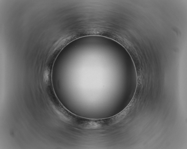 X0000113370166200909291058