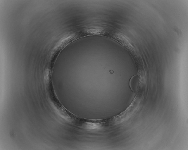 X0000113370167200909291058