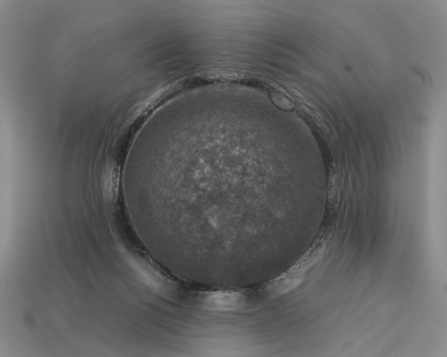 X0000113370168200909291058