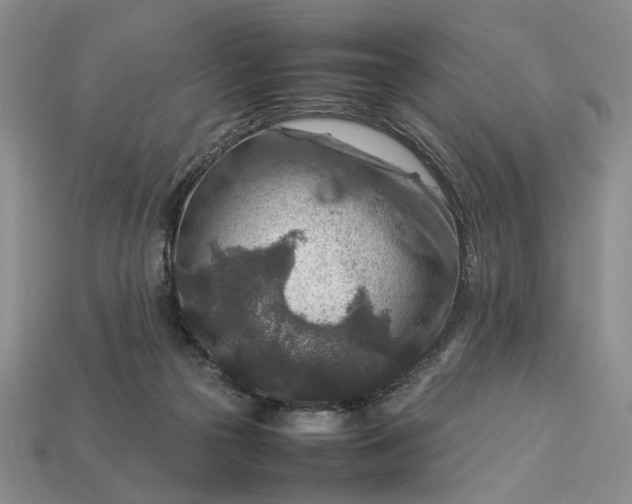 X0000113370169200909291058