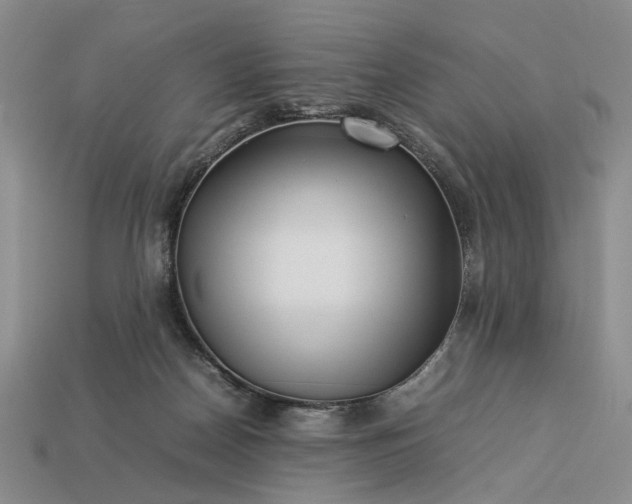 X0000113370170200909291058