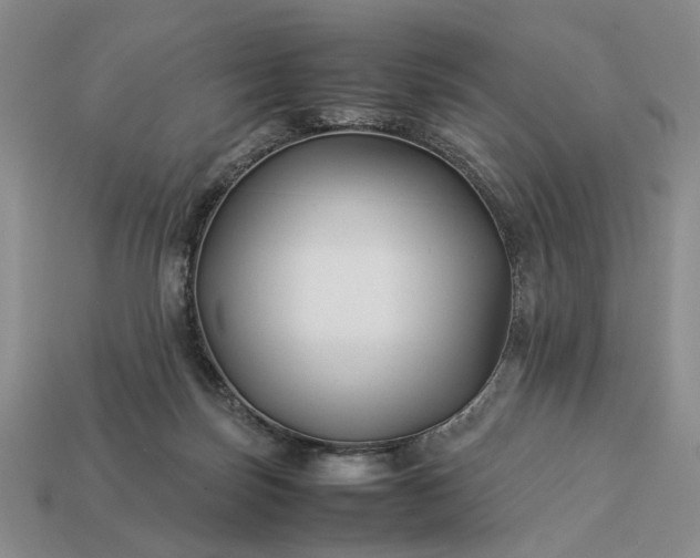 X0000113370171200909291058