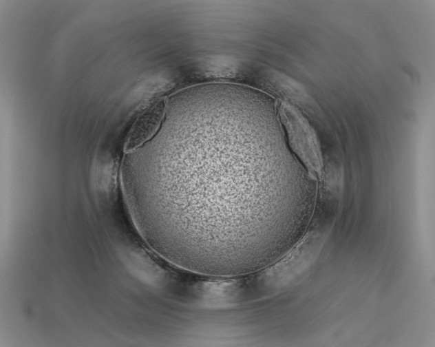 X0000113370172200909291058