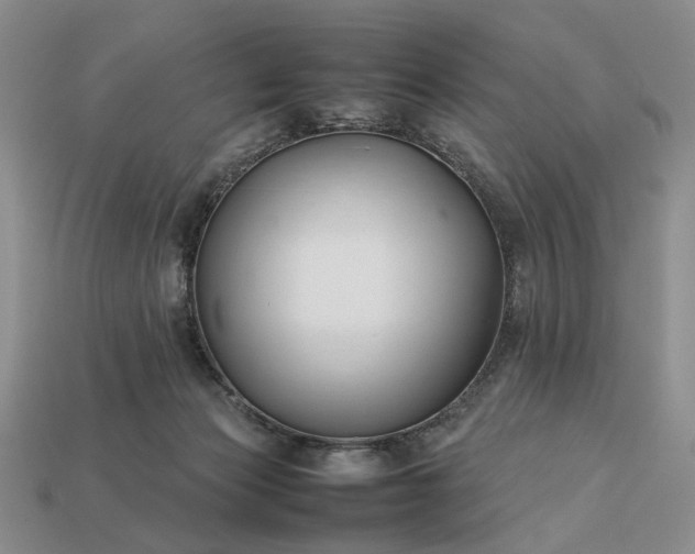 X0000113370173200909291058