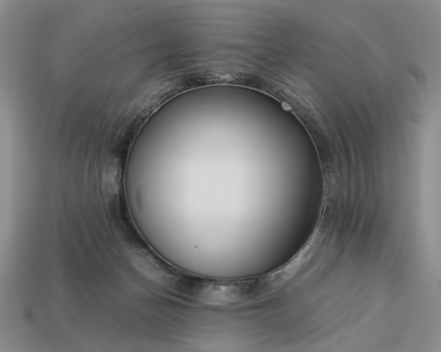 X0000113370174200909291058