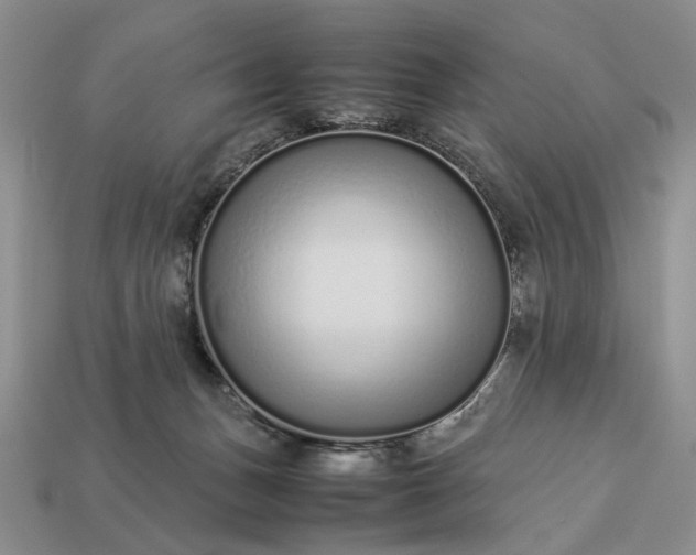 X0000113370175200909291058