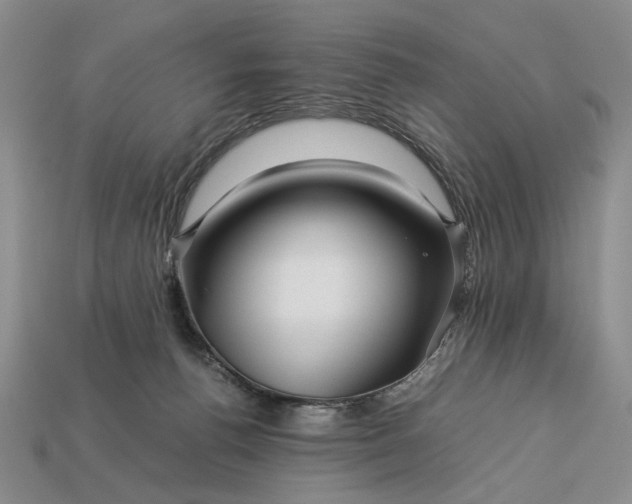 X0000113370176200909291058