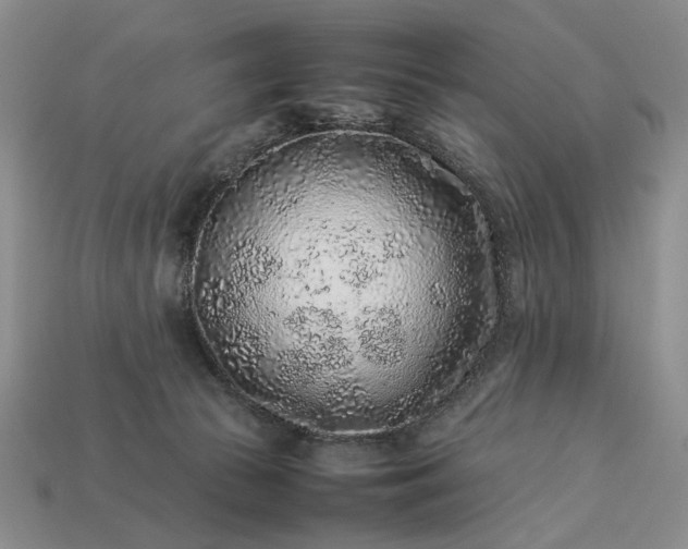 X0000113370177200909291059