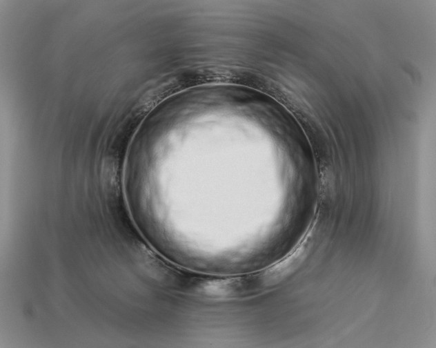 X0000113370178200909291059