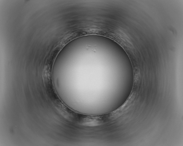 X0000113370179200909291059